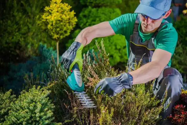 landscaping services Imlay City